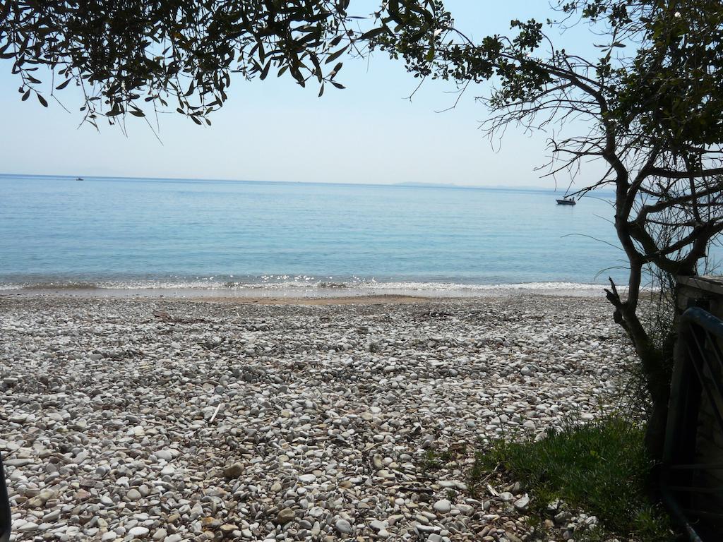 Villa Aliki Barbati Exteriör bild